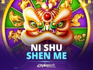 Ni Shu Shen Me icon